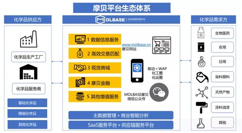 中國化工企業(yè)管理協(xié)會(huì)數(shù)字化專委會(huì)新春座談?wù)匍_，摩貝斬獲多項(xiàng)授牌引領(lǐng)行業(yè)數(shù)字化升級